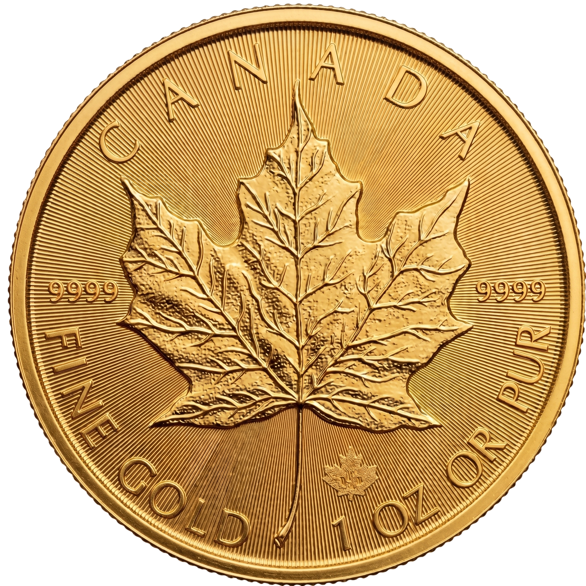 Canadese Gouden Maple Leaf munt